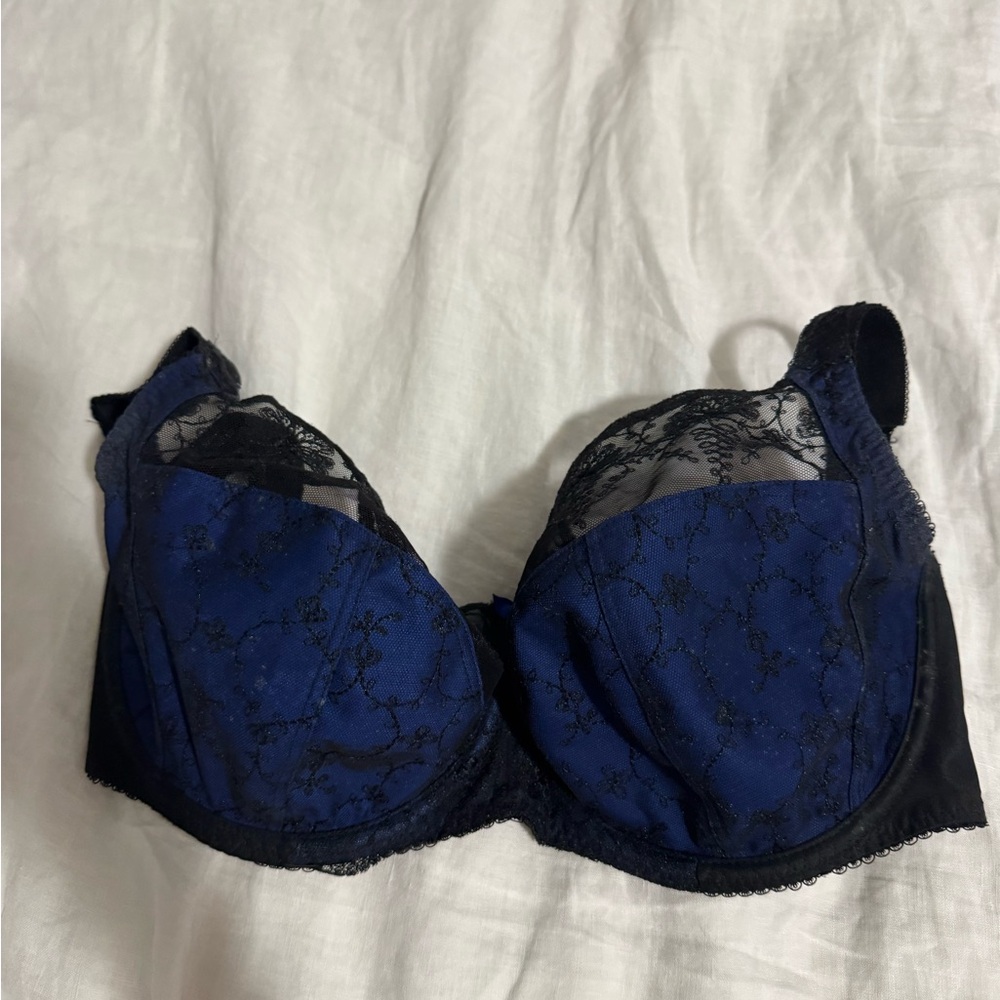 Fantasie Lace Bra - Blue and Black